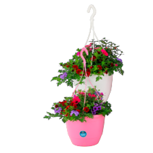 Hanging basket Moederdagmix